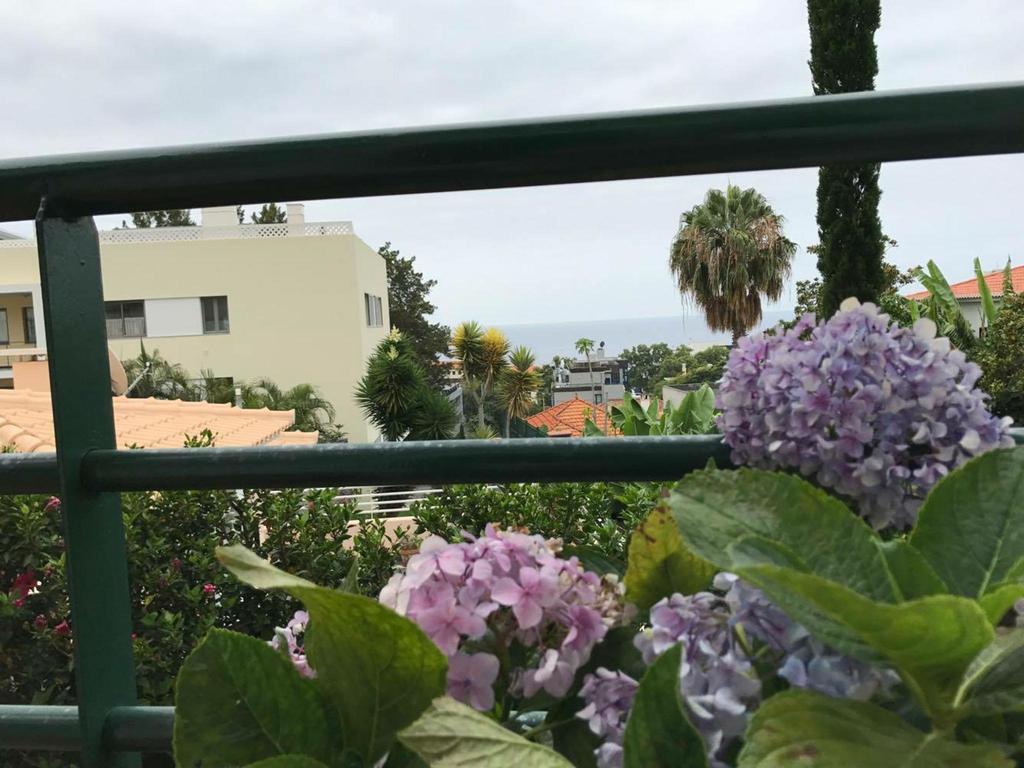Monte Verde Funchal  Eksteriør bilde